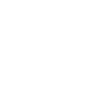 tiktok icon